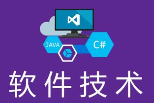 湖南中專軟件技術(shù)專業(yè)對(duì)口升學(xué)路徑 單招學(xué)校與金融服務(wù)外包機(jī)遇